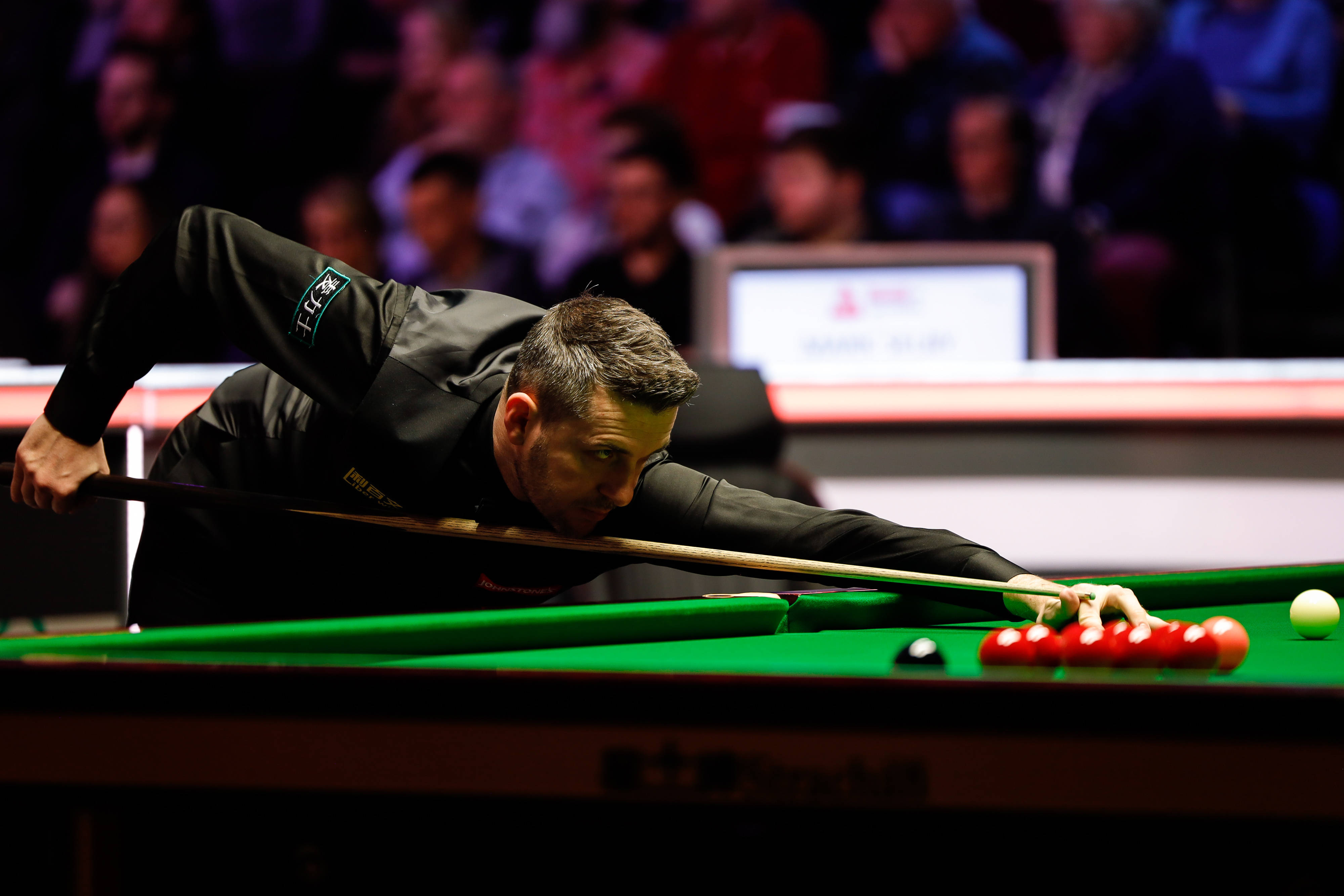 帕尔梅拉斯 帕尔梅拉斯