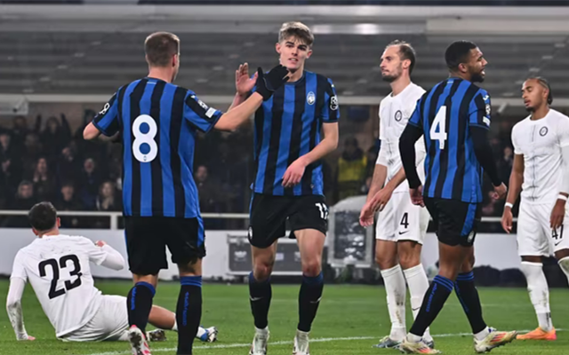 可根据预算 可根据预算